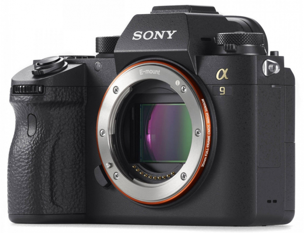 Фотоаппарат Sony Alpha ILCE-9M2 Body